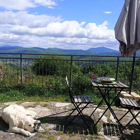 Casetta Nel Podere Di Massi バルベリーノ・ディ・ムジェッロ エクステリア 写真