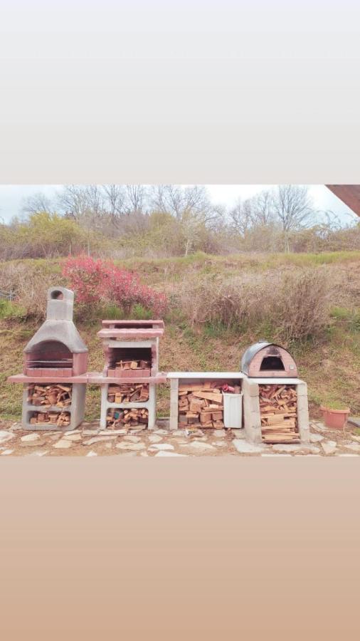 Casetta Nel Podere Di Massi バルベリーノ・ディ・ムジェッロ エクステリア 写真